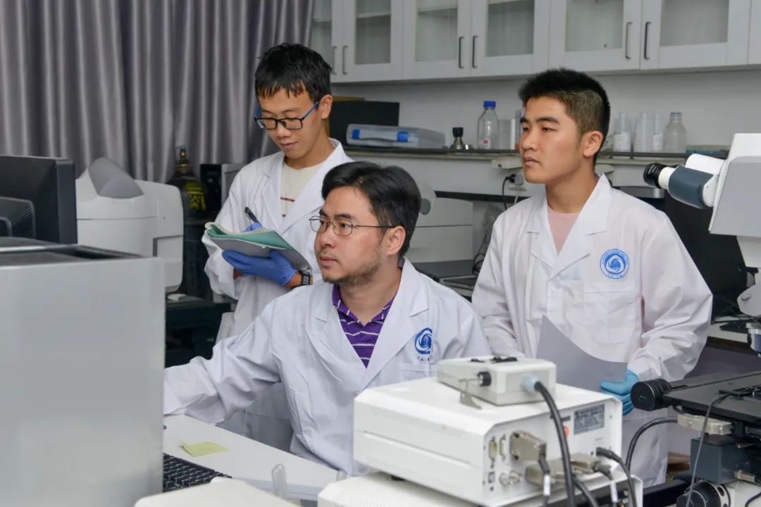 北京市自然科学基金资助项目负责人趋向年轻化