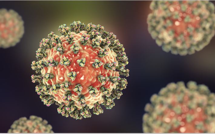 您了解人副流感病毒吗？