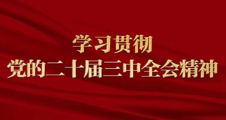 做进一步全面深化改革的促进派实干家（学习贯彻党的二十届三中全会精神）