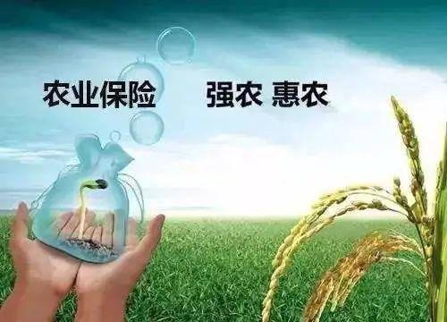 四部门发文推进农业保险精准投保理赔