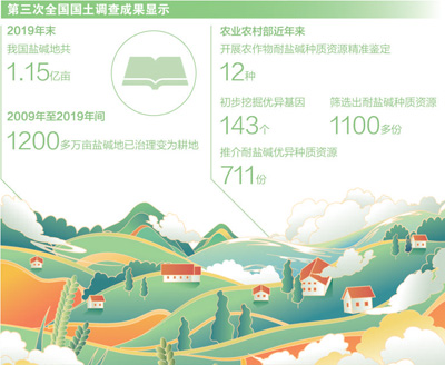 我国筛选出耐盐碱种质资源1100多份 让白花花的盐碱地产出金灿灿的收益