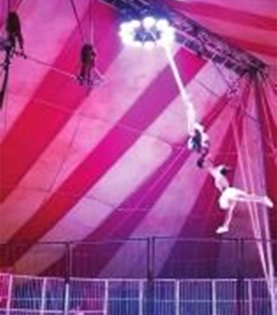14岁女孩表演杂技不慎高空坠落 涉事马戏团被取缔