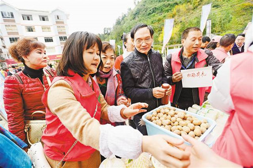 【领航新征程】农民带着“扫一扫”来卖山货