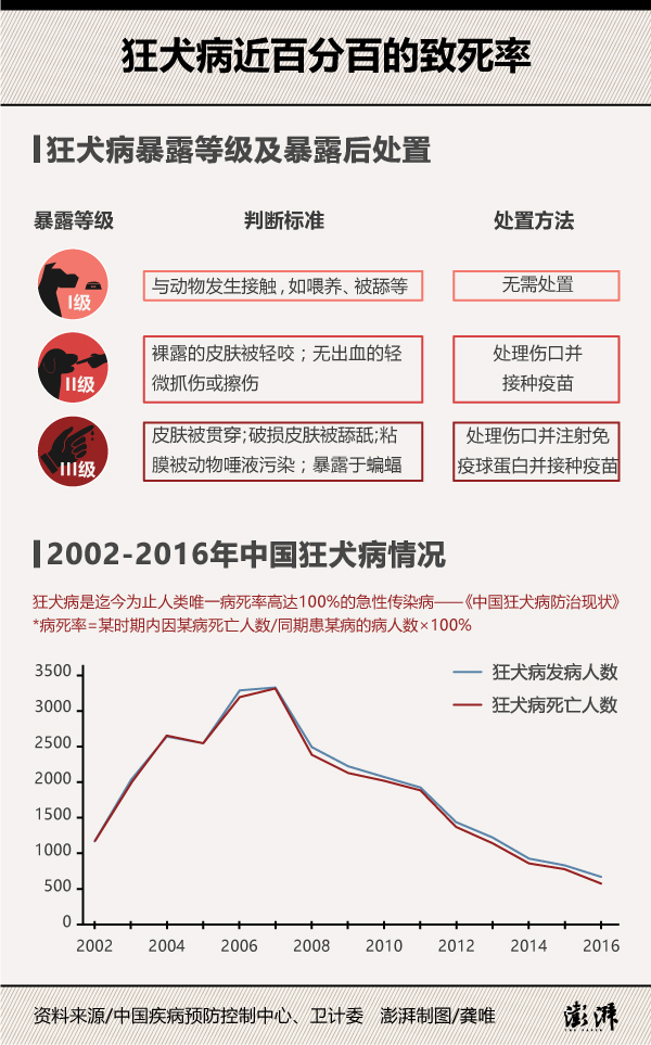 世界狂犬病日｜狂犬疫苗失败率不到千分之一，切断源头最关键